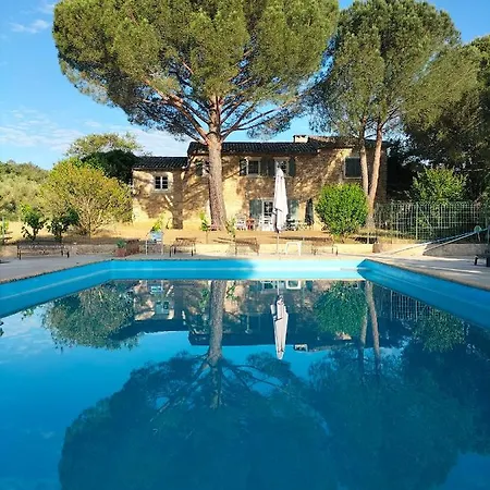 Olivette Mas Bel Esperance Saint-Andre-d'Olerargues
